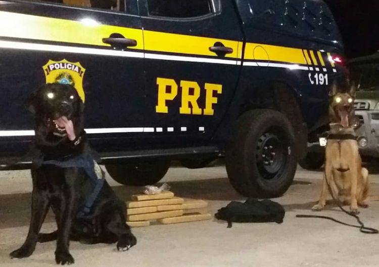 Com informações do NUCOM/PRF