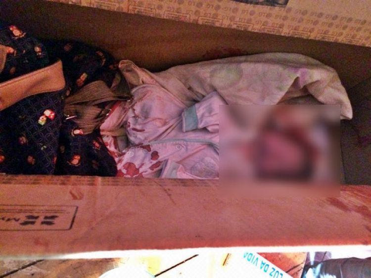 Fonte: Blogdocoveiro