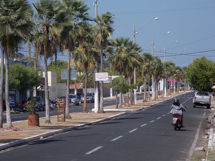 Foto: Otávio Neto / Em Foco