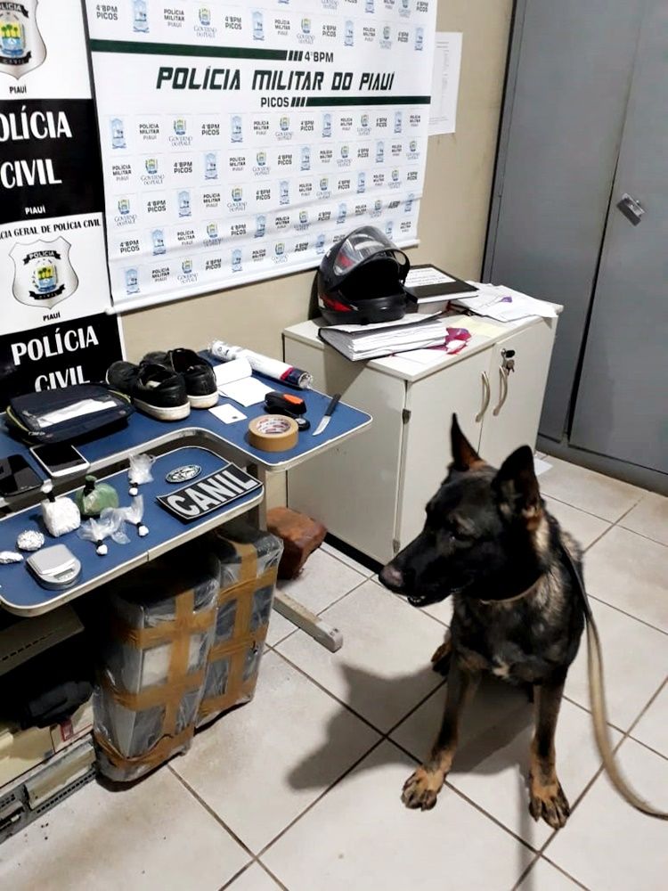 Fonte: Meio norte / Foto: PM