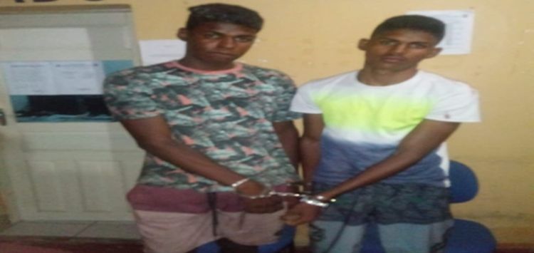 Fonte: Meio Norte / Foto: Divulgação