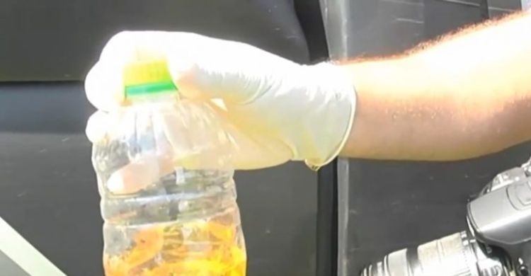 Fonte: MN / Foto: Reprodução