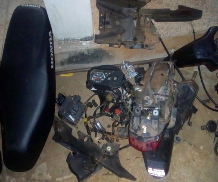 Fonte : Realidade em Foco