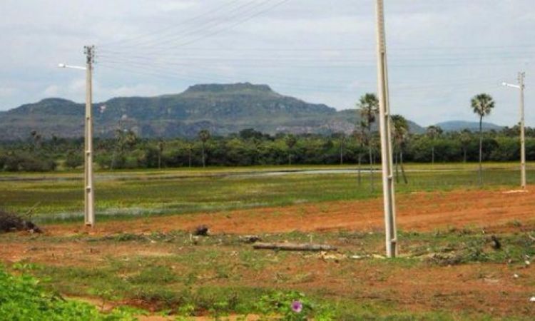 Loteamento Residencial Jenipapo. Foto: arquivo/Divulgação