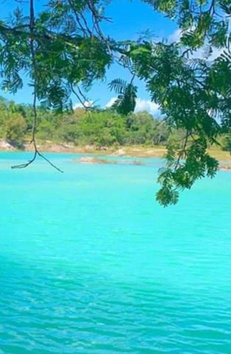 Fonte: Longah / Foto: Divulgação