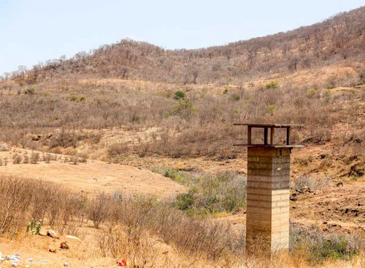 Fonte: Cidade Verde / Foto: Reprodução