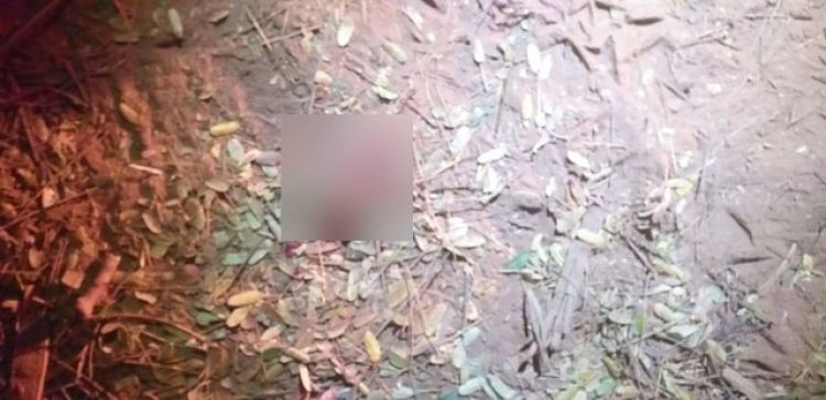 Fonte: G1 / Foto: Reprodução